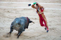 Novillero Paco Chaves jumped to place bandilleras in the back of the bull he was fighting at Las Ventas